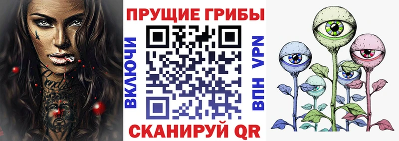 Галлюциногенные грибы Psilocybe Купить Костерёво